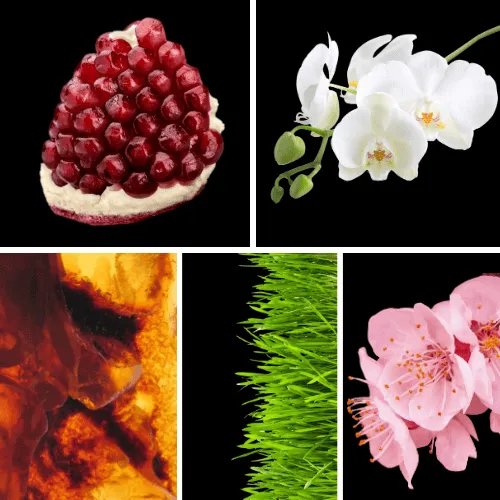 Duftnoten: Granatapfel, Orchidee, Amber, grüne Noten, Kirschblüte
